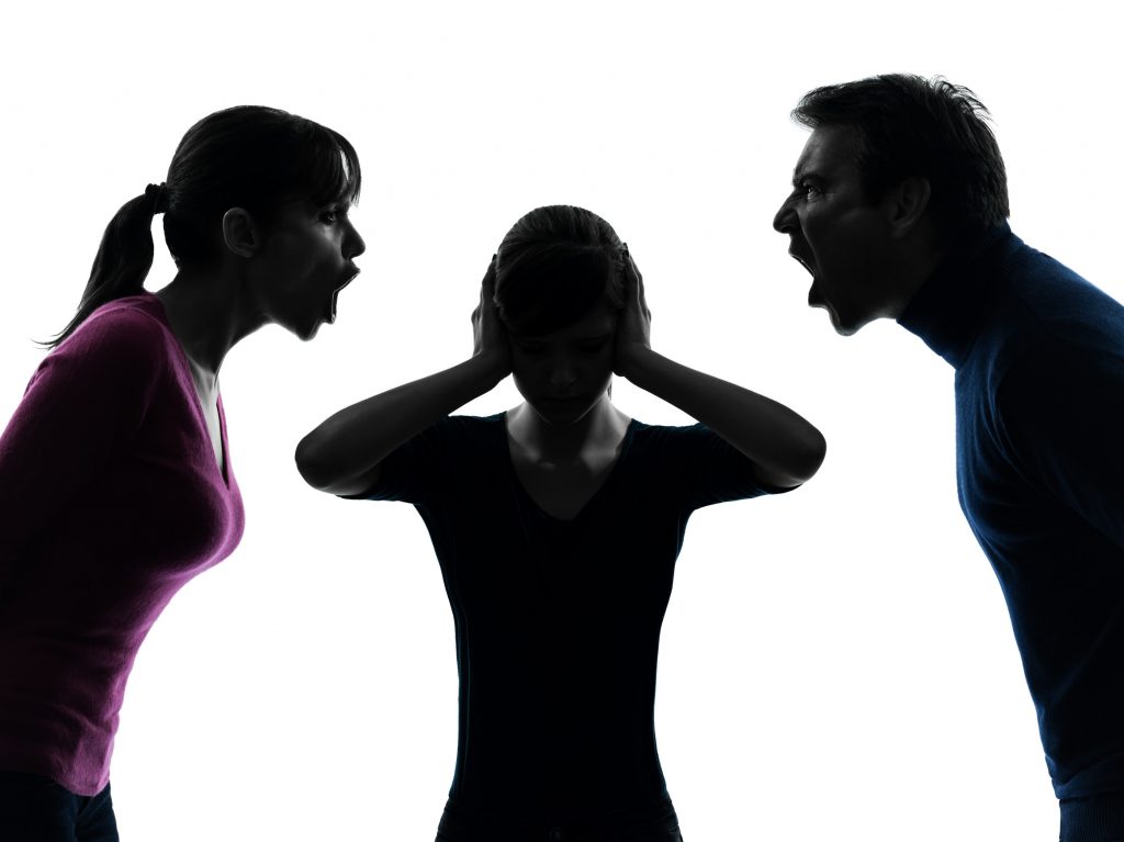 Autism in Family Courts and ASD and Child Custody
